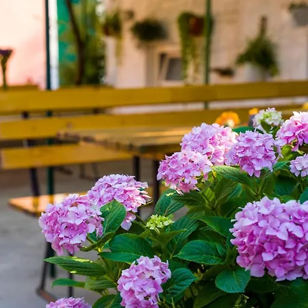 Apartamento Odrina Split