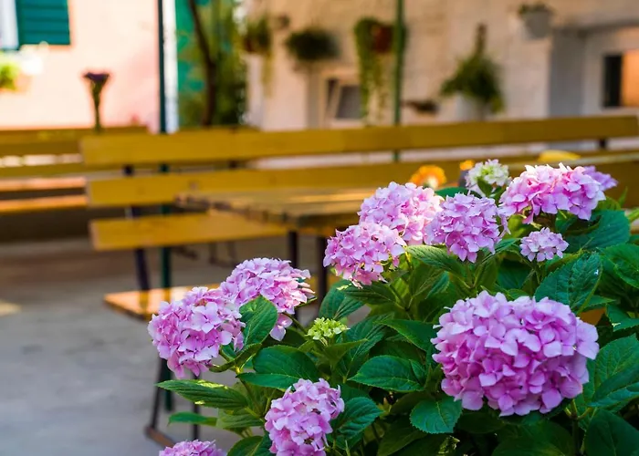 아파트 Odrina 스플리트