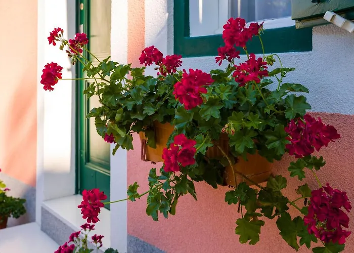 Odrina * 스플리트